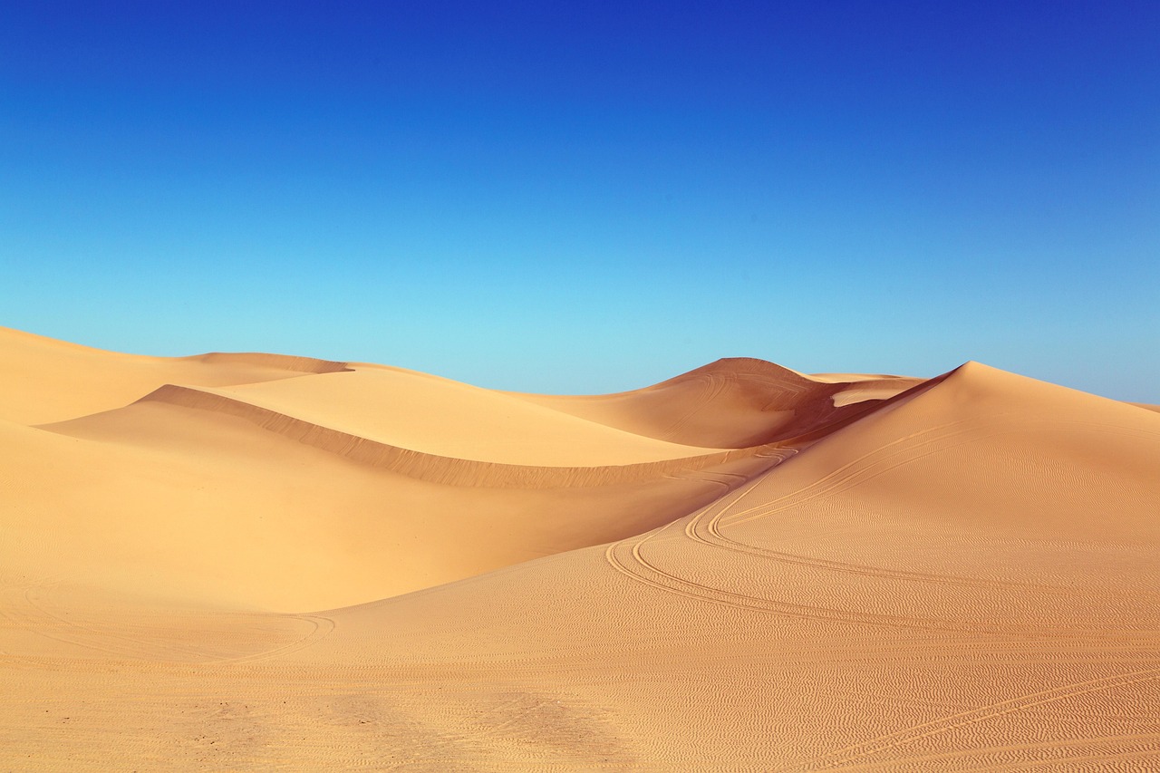 desert, sand, dunes, landscape, sand dunes, nature, sunny, desert landscape, traces, dune landscape, algodones dunes, algodones, sahara, gobi desert, desert, desert, desert, desert, desert