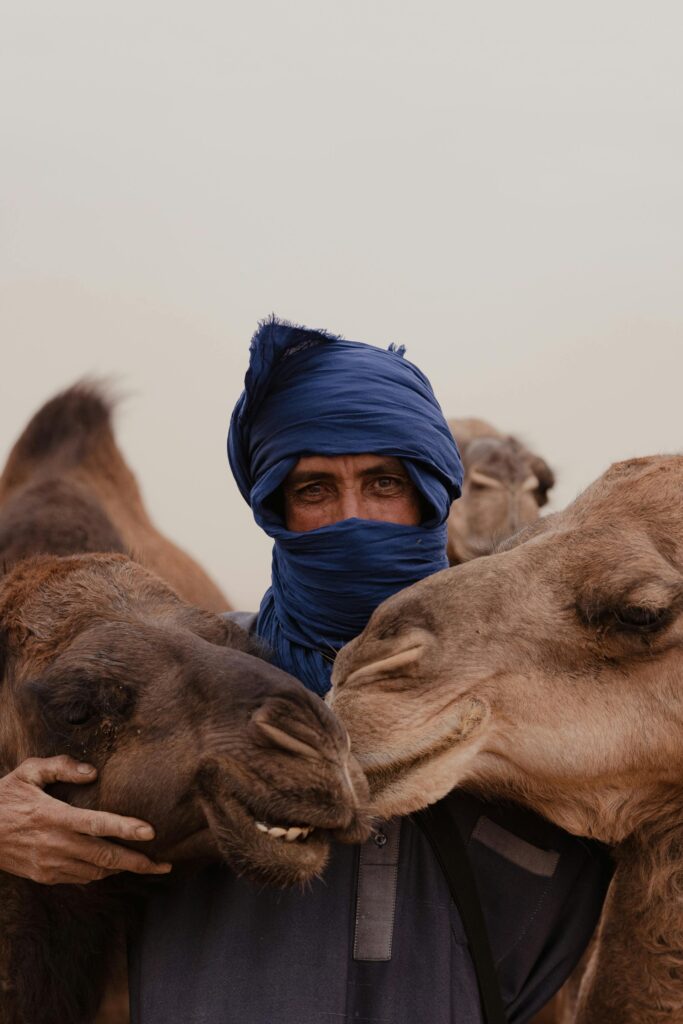 pexels-photo-13811675-13811675 A Moroccan man with camels in the desert, wearing a blue headscarf, captures cultural essence.