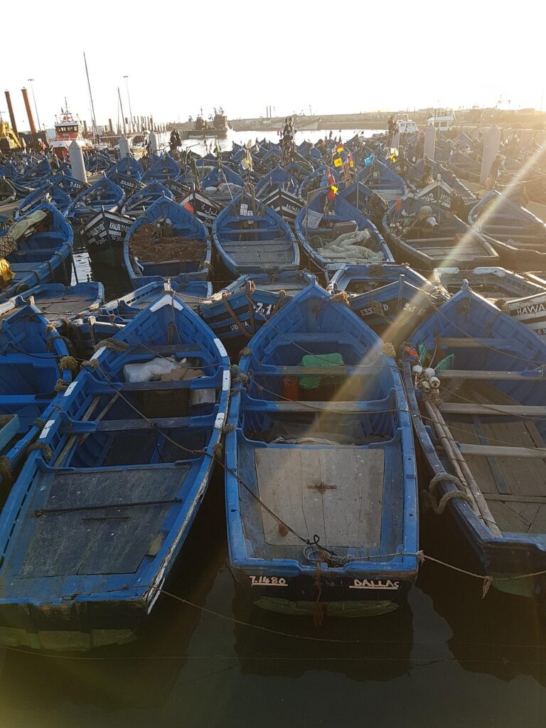 boats, fishing, break, boat, sea, sunrise, spring, silent, silence, final, day, blue, fishing port, port, tradition, essaouira, morocco, africa, fleet, float up, recovery, sunset