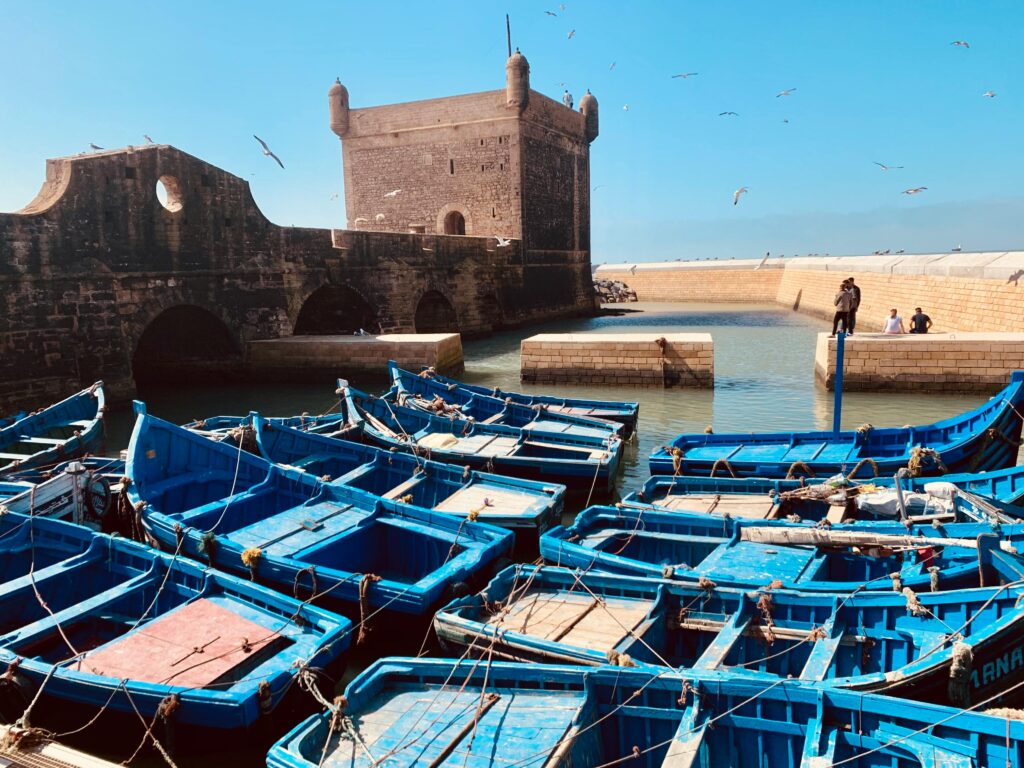 pexels-photo-12494695-12494695 Vibrant blue boats moored in a picturesque historic harbor with seagulls flying overhead.
