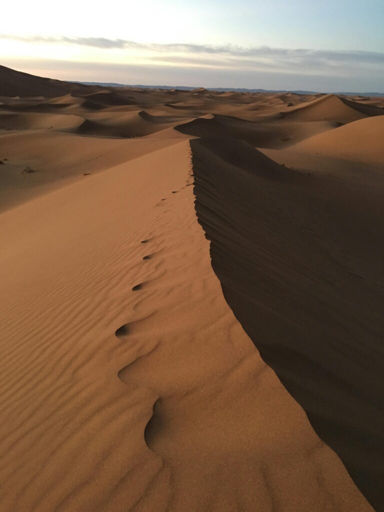 Stunning view of Marrakesh dunes at sunrise, showcasing the vast desert landscape.