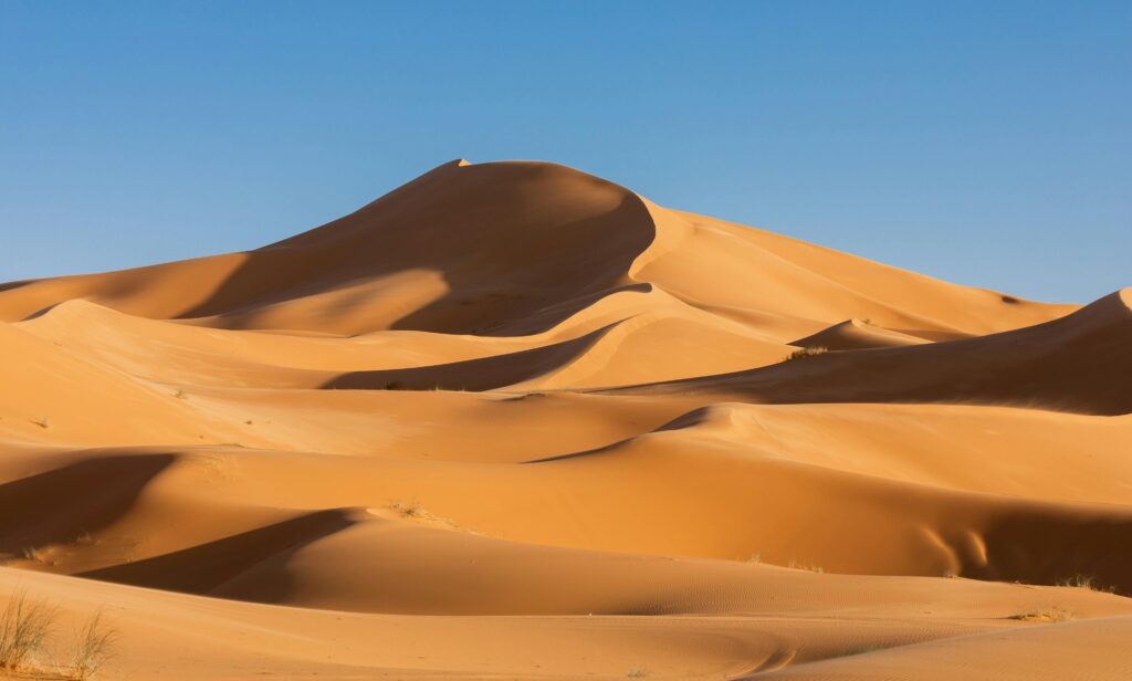 Vast sand dunes in a desert with clear blue sky, showcasing the beauty of arid landscapes.
