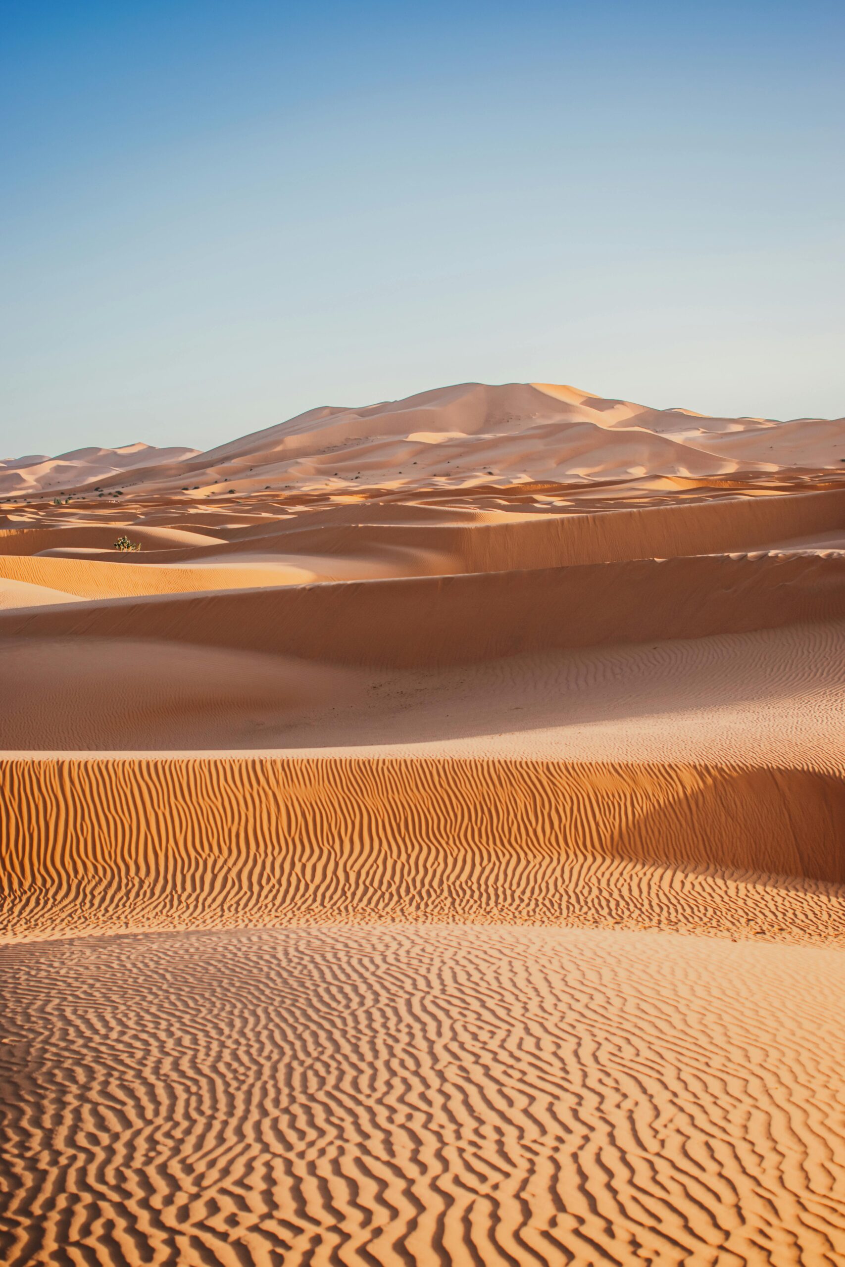 3 Day Desert Tour From Marrakech