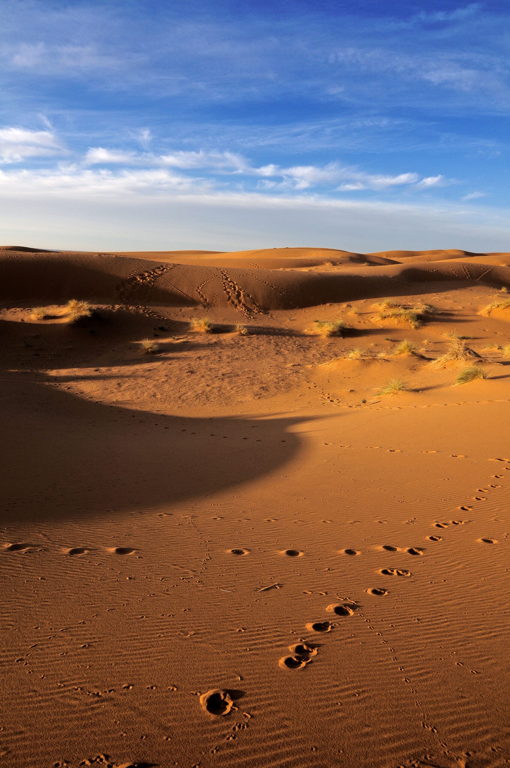 4 Day Desert Tour From Marrakech